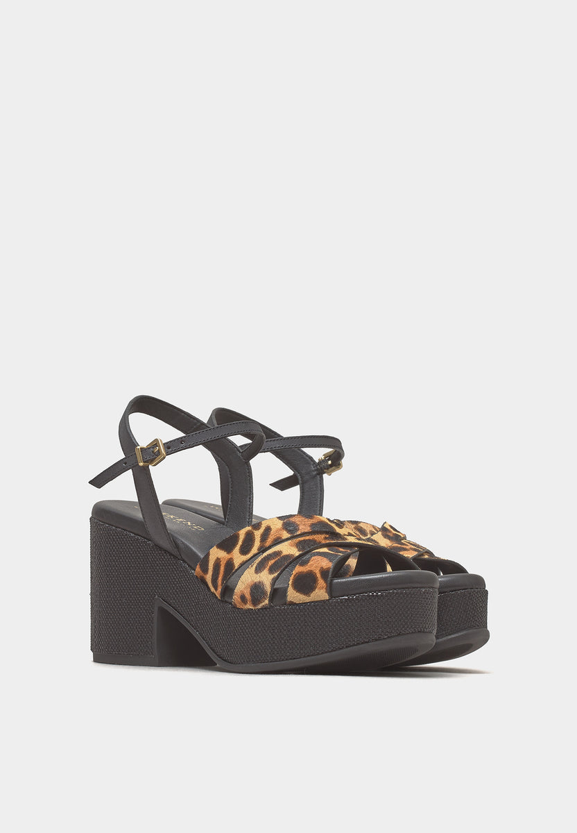 15831 Zael 15831 Leopard – Schuberts Footwear